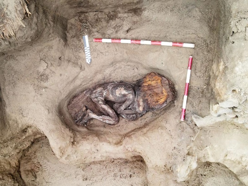 Caral: descubren entierro de una mujer de élite en Áspero con objetos de prestigio y arte plumario milenario 