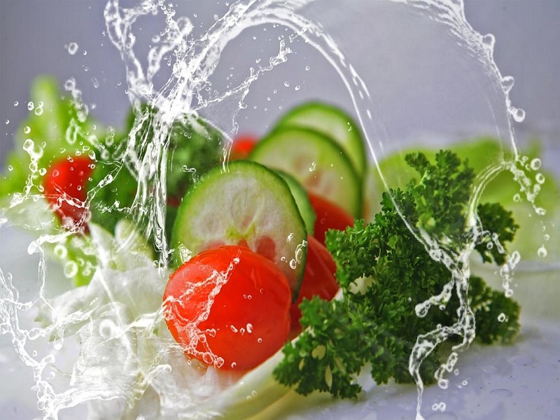 Conoce el programa que busca difundir la alimentación sostenible y saludable