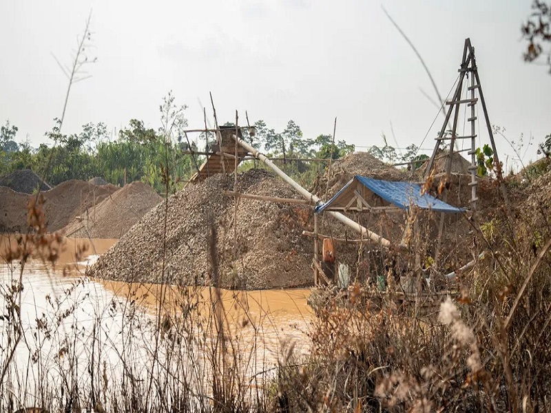 PREOCUPANTE: Organizaciones advierten que deforestación en región peruana supera las 135 000 hectáreas