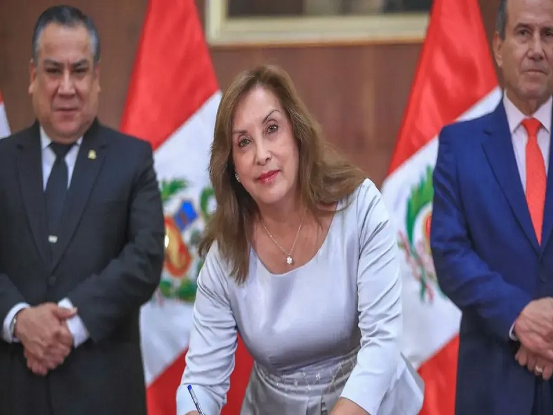 Presidenta dice que nueva ley de la APCI permitirá "revisión exhaustiva" de las ONG "que actúan contra intereses del país"-