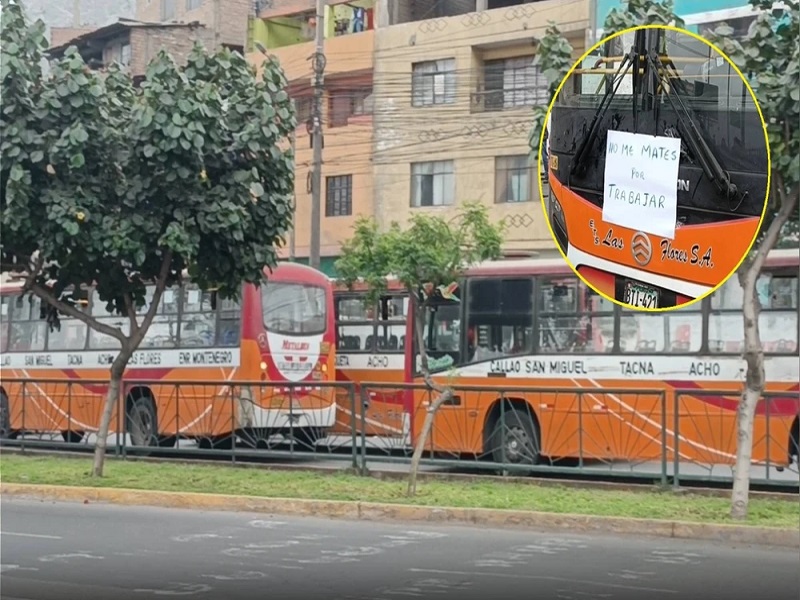 Caos en SJL: transportistas se movilizaron por calles del distrito exigiendo acciones del Gobierno contra la inseguridad