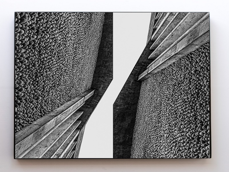 El arte en fotografía. Piurana Katherine De Lama, se presenta en importante Exposición en San Isidro, Lima.