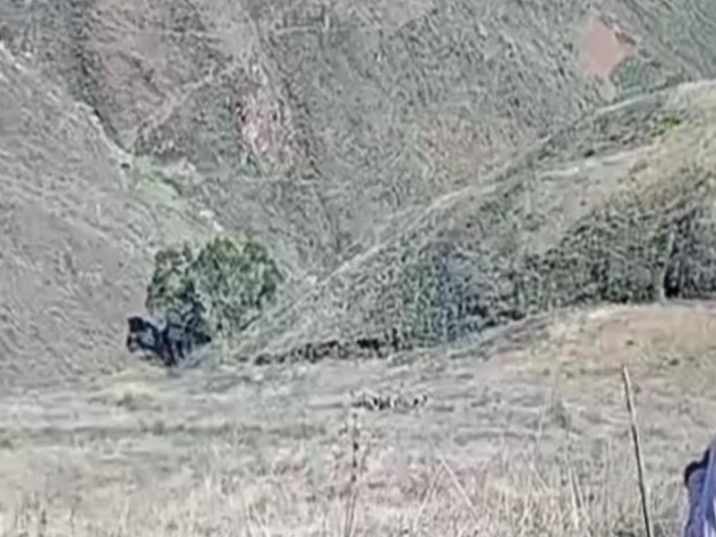 Tragedia en Otuzco: Caída de camioneta a un abismo deja dos muertos