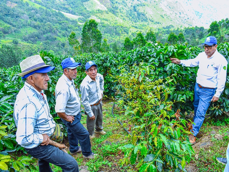 DRAP descentraliza celebración por el Día del Campesino en todas las agencias agrarias 