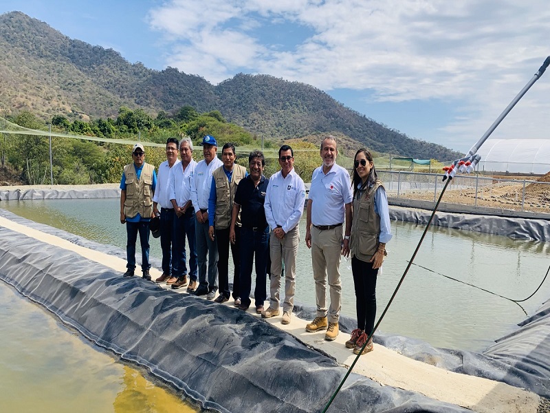 Piura: 1 millón 600 mil soles invertirán en proyecto de crianza de tilapia en Tambogrande 